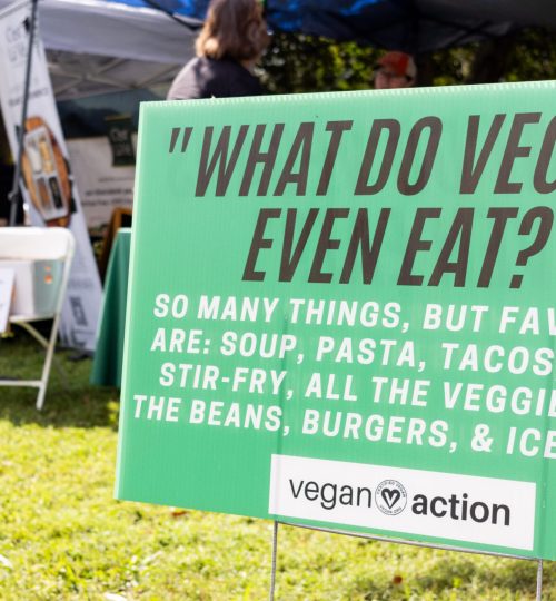 Vegan action